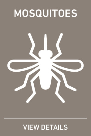 Picture of mosquito control icon containing a mosquito