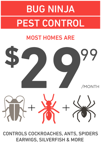 Pest control ad for $29.99