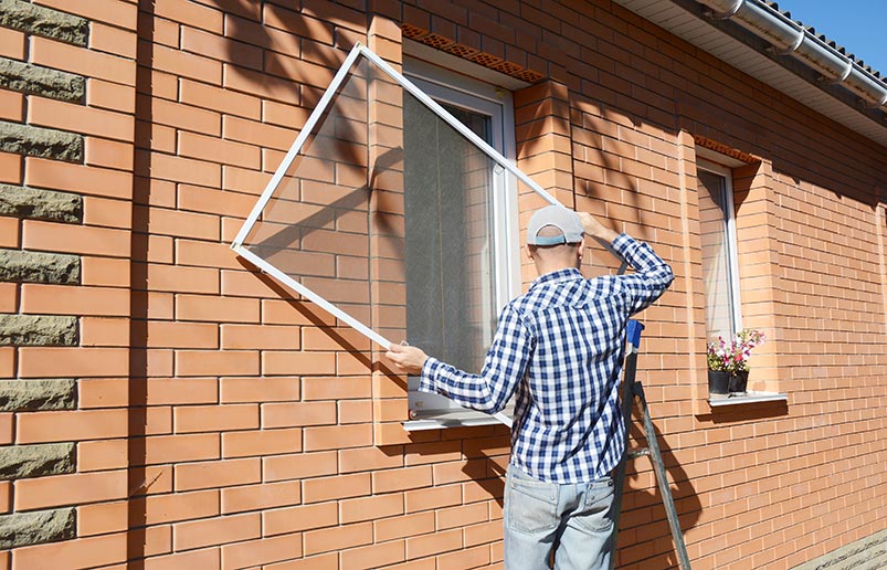 Picture of window screen repair for pest prevention