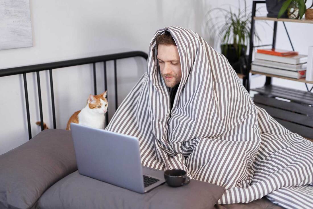 Picture of man in bed researching bed bugs next to his cat.